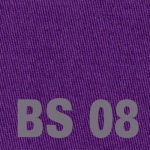 bs08.jpg